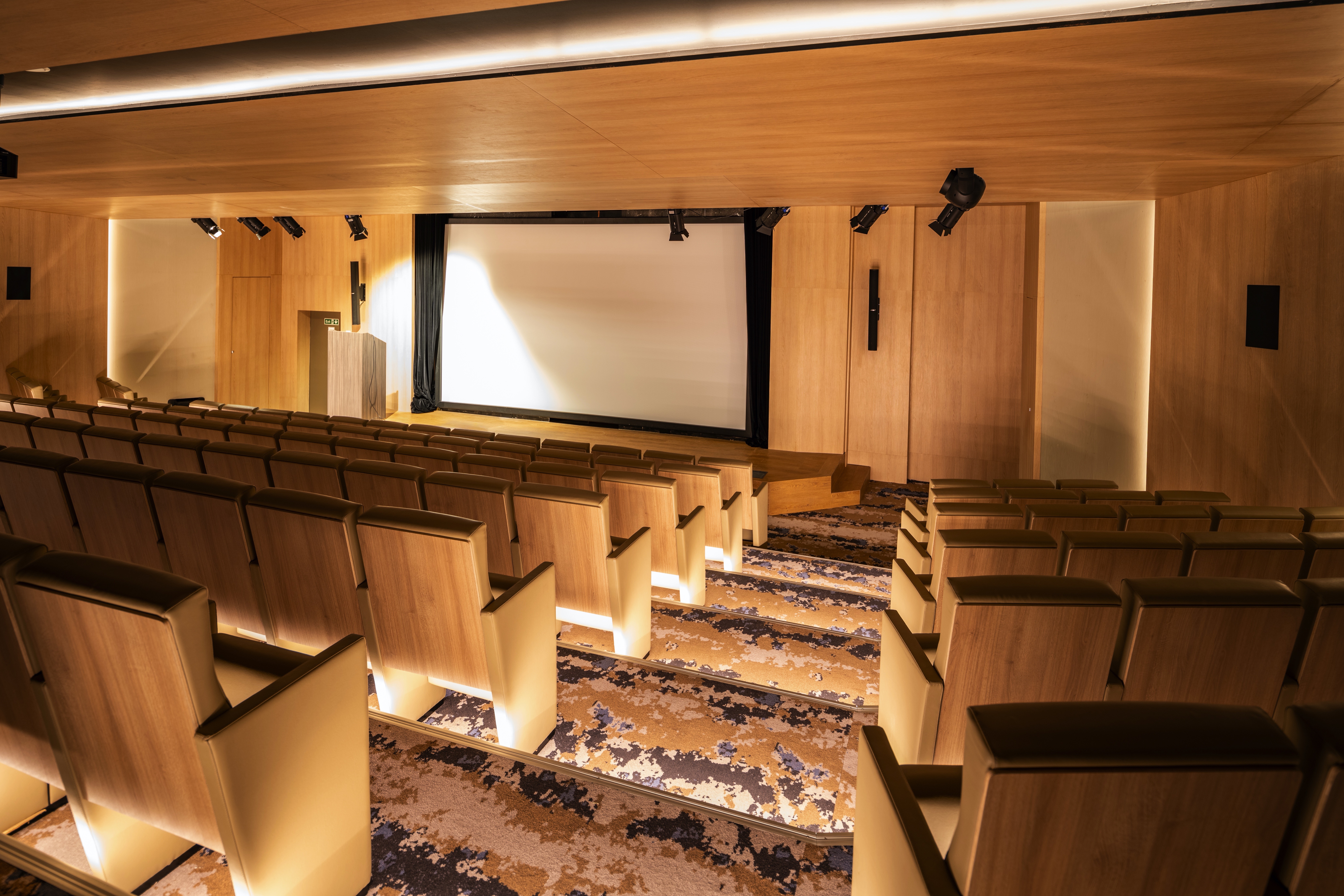Auditorium on World Voyager